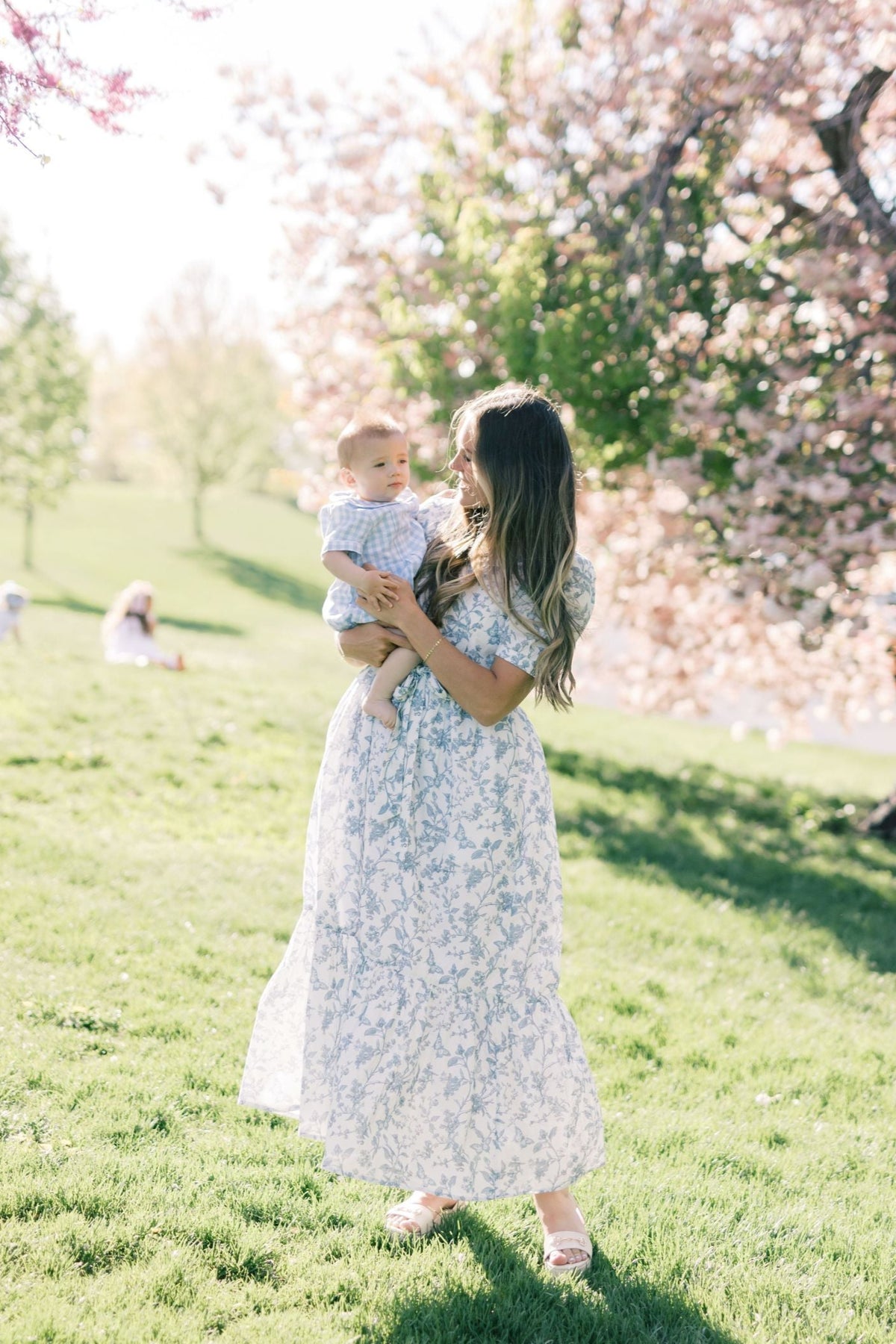 Versa Maxi Dress with Nursing Zippers in Blue Toile Butterfly