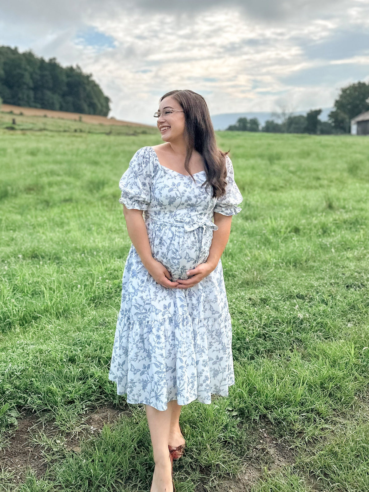 Ann Midi Dress with Nursing Zippers in Blue Toile Butterfly