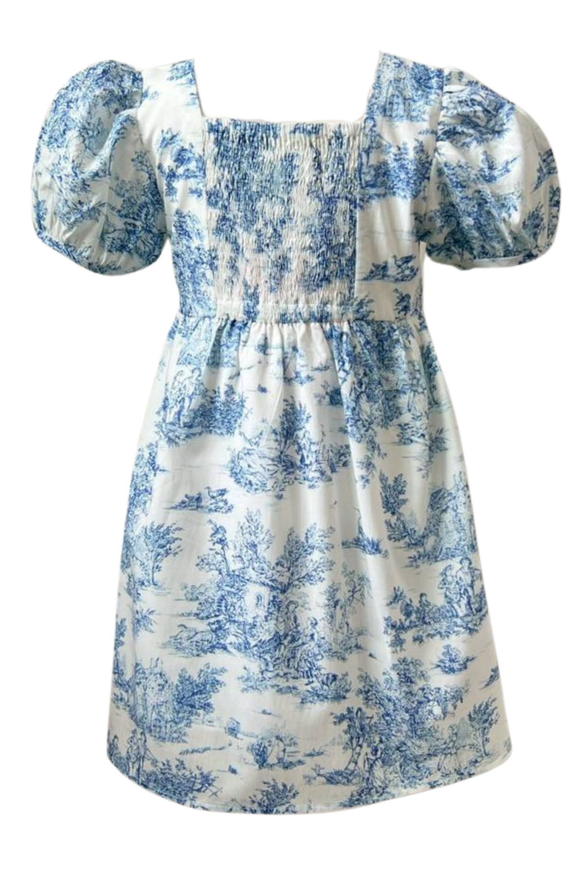 Little Darling Dress (Girls) in Vintage Blue Toile
