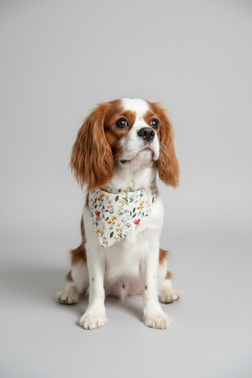 Pet Bandana in Harvest Blooms