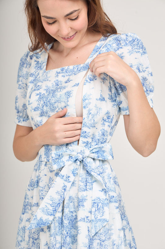 Versa Cotton Dress with Nursing Zippers in Vintage Blue Toile