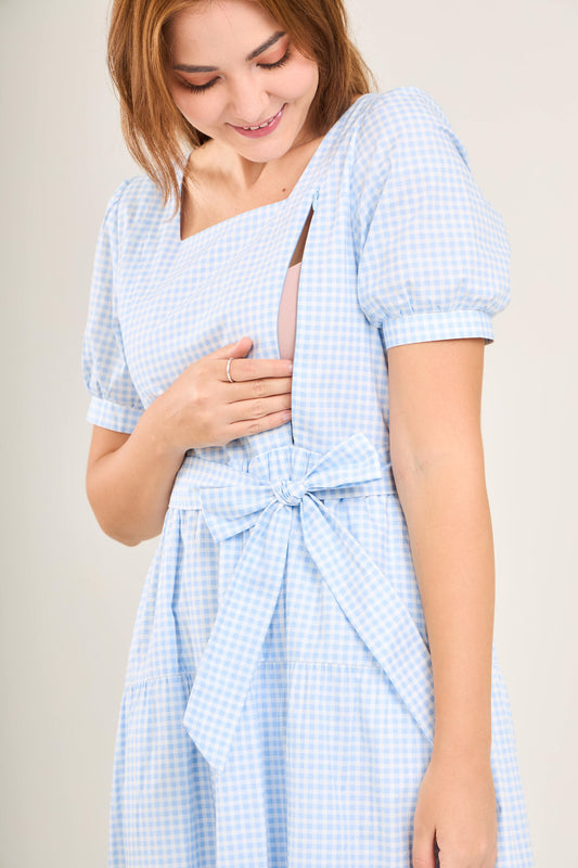Versa Cotton Dress with Nursing Zippers in Light Blue Gingham (Final Sale)