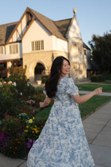 Versa Cotton Dress with Nursing Zippers in Vintage Blue Toile